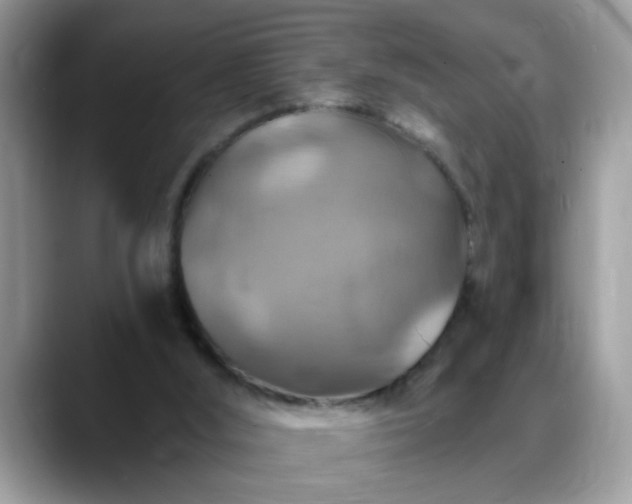 X0000088750012200706071729