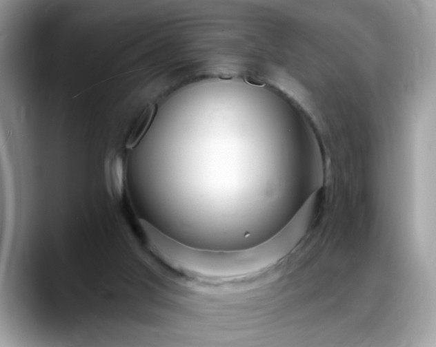 X0000088750013200706071729