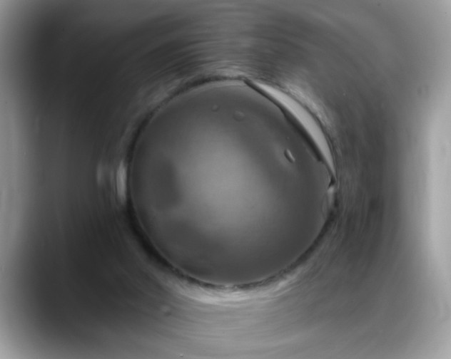 X0000088750014200706071729