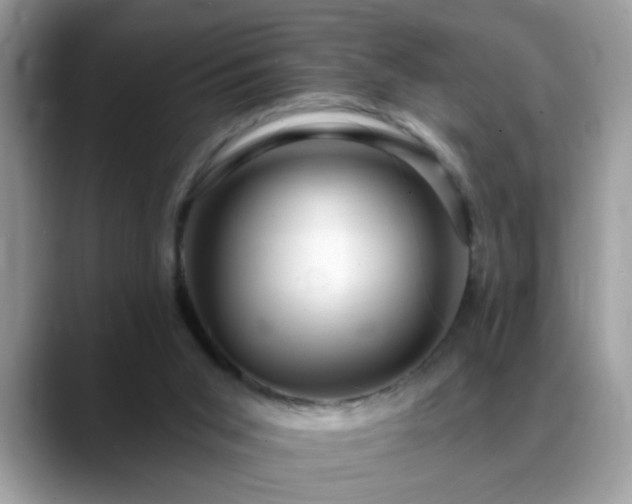 X0000088750015200706071729