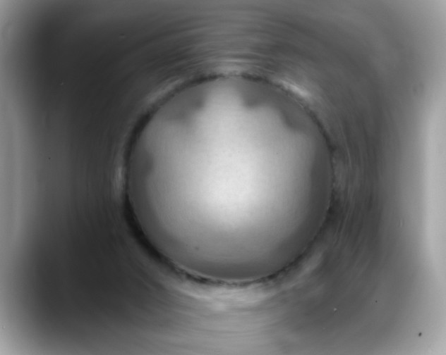 X0000088750016200706071729