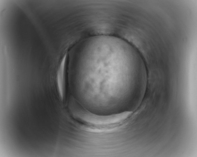 X0000088750017200706071729