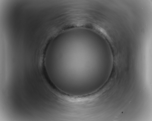X0000088750018200706071729