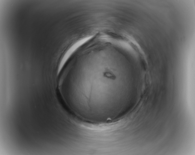 X0000088750019200706071729