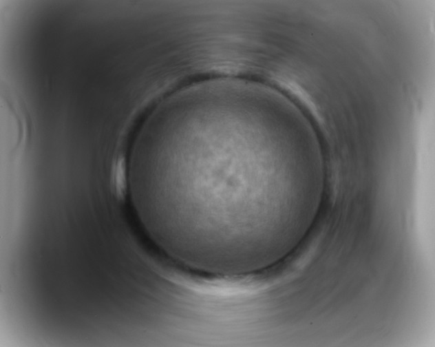 X0000088750020200706071729
