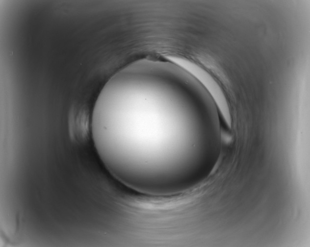 X0000088750021200706071729