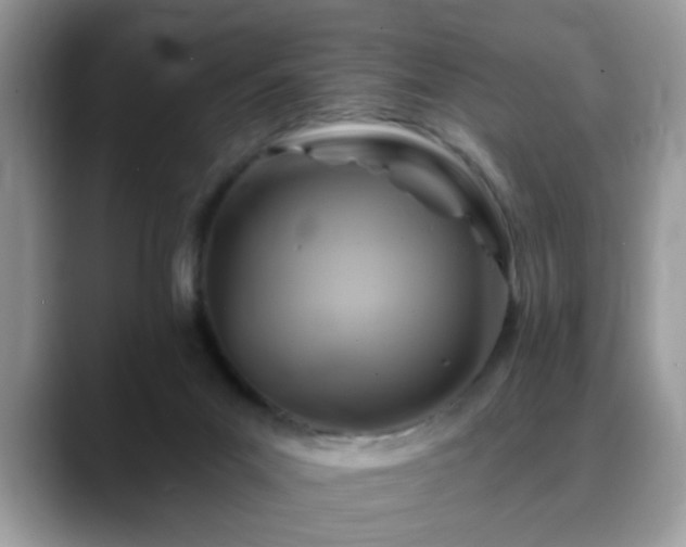 X0000088750023200706071729