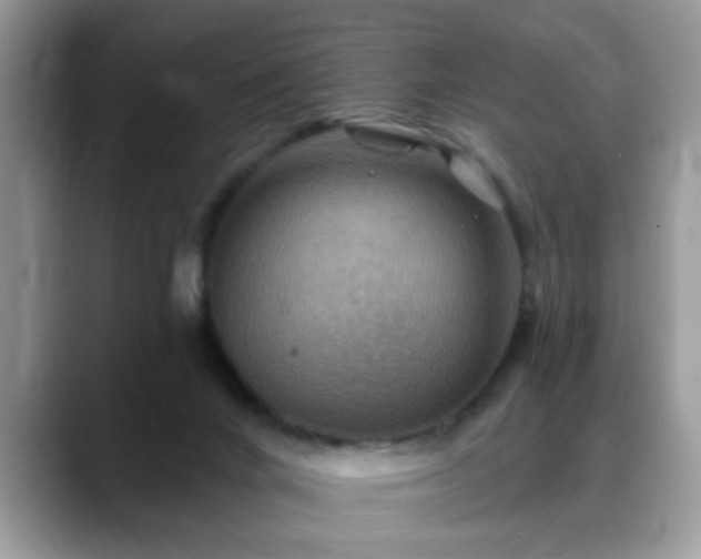 X0000088750024200706071729