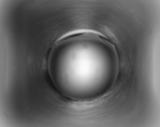 X0000088750025200706071729