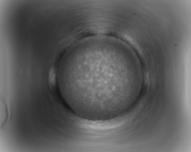 X0000088750026200706071729
