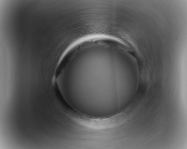 X0000088750027200706071729