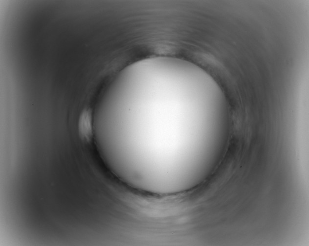 X0000088750028200706071729