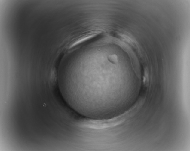 X0000088750029200706071729