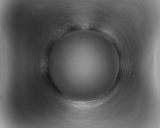 X0000088750030200706071729