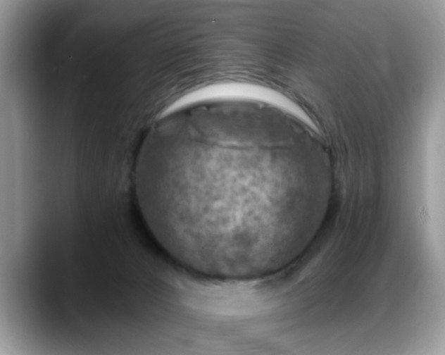 X0000088750032200706071729