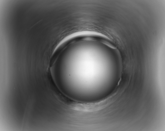 X0000088750033200706071729