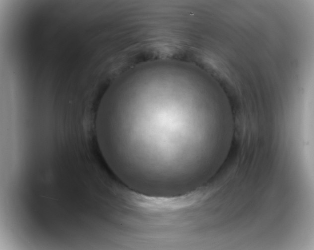 X0000088750034200706071729