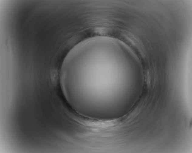 X0000088750036200706071729