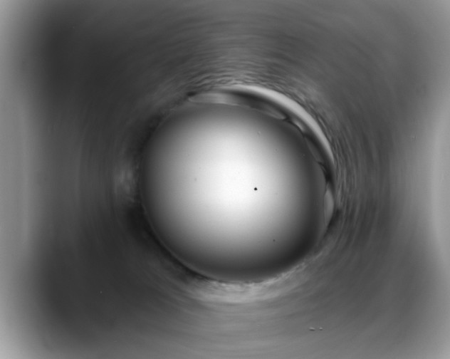X0000088750037200706071729