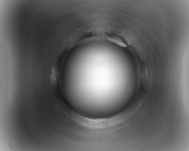 X0000088750038200706071729