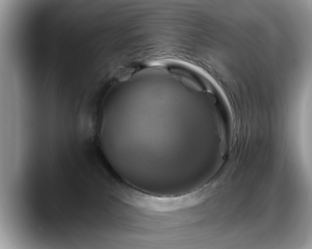 X0000088750039200706071729