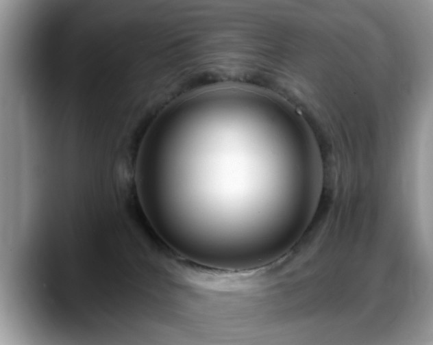 X0000088750040200706071729