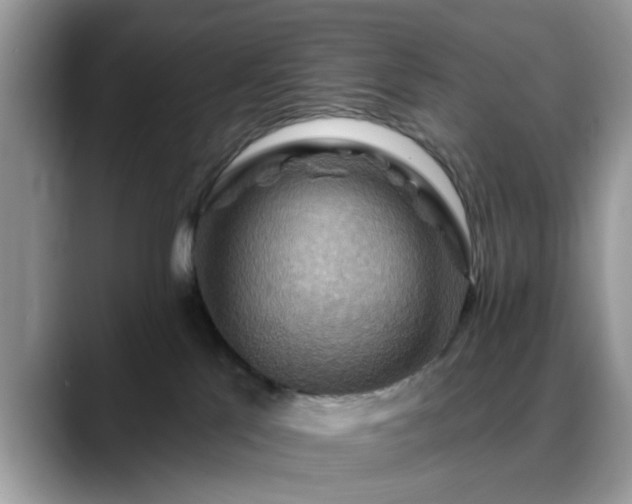 X0000088750041200706071729
