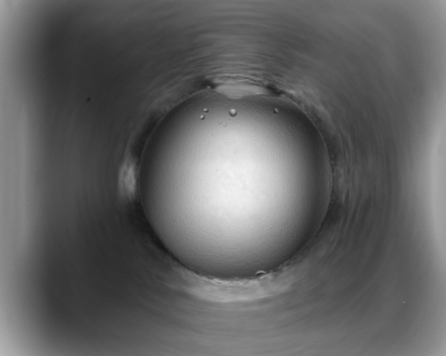 X0000088750042200706071729