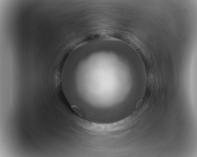 X0000088750043200706071729