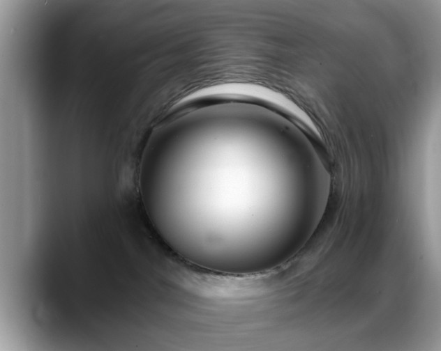 X0000088750044200706071729