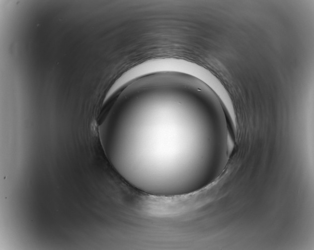 X0000088750045200706071729
