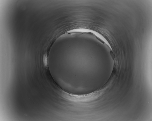 X0000088750046200706071729