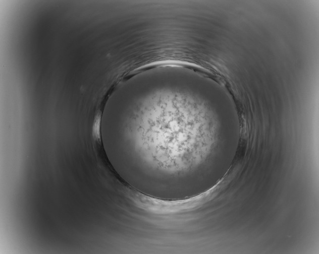 X0000088750047200706071729