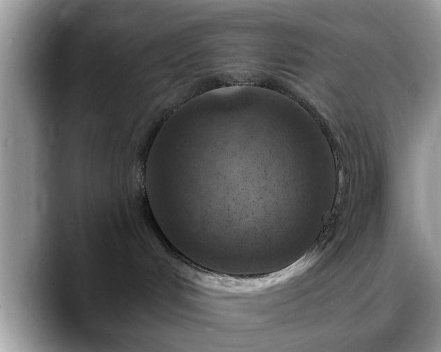 X0000088750048200706071729
