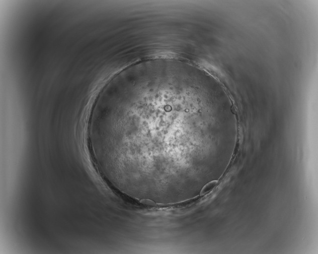 X0000088750049200706071728