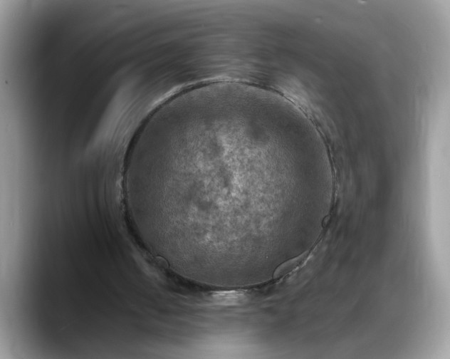 X0000088750050200706071728