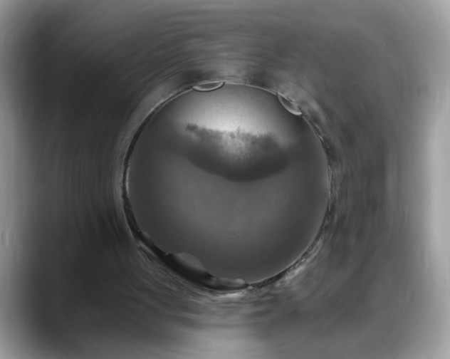 X0000088750051200706071728