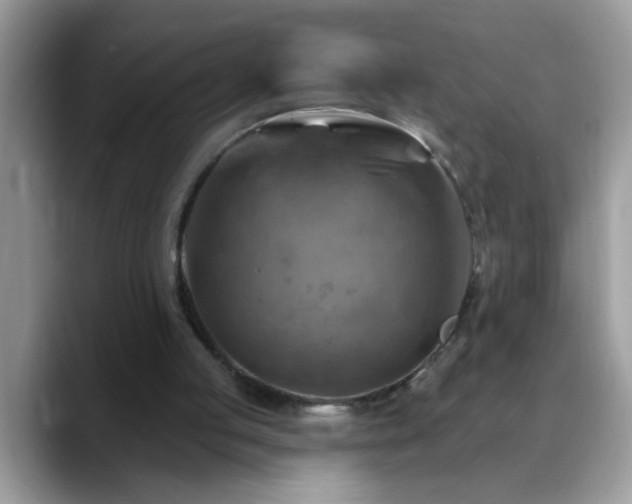 X0000088750053200706071728