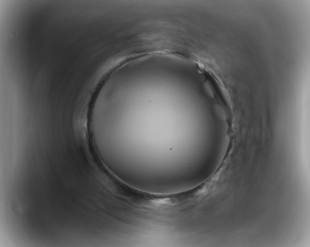X0000088750054200706071728