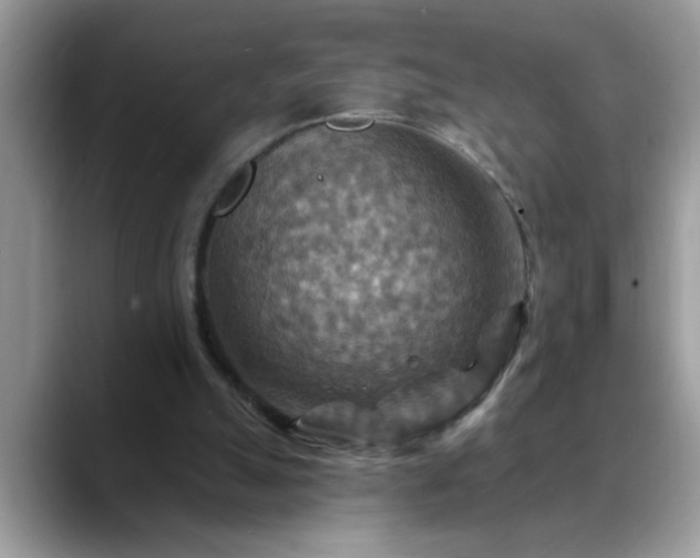 X0000088750055200706071728