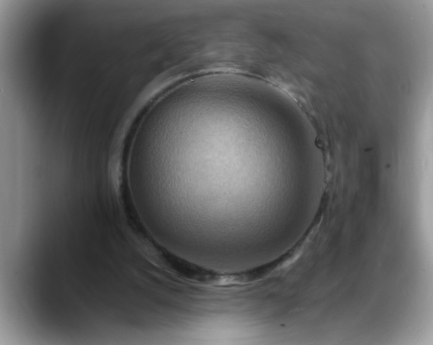 X0000088750056200706071728