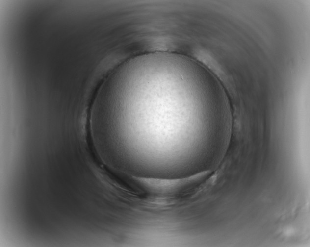 X0000088750058200706071728