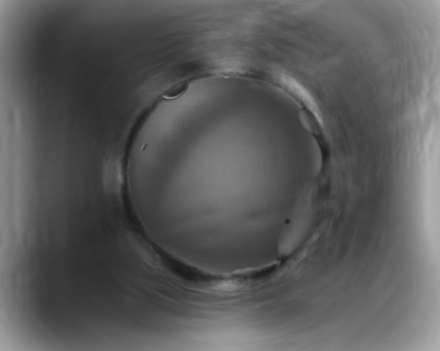 X0000088750059200706071728