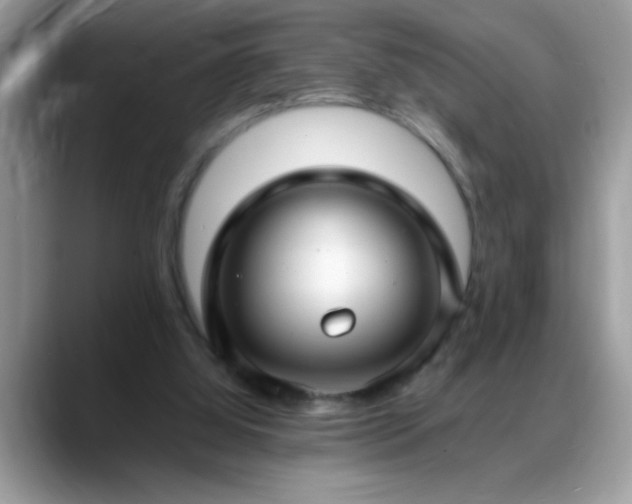 X0000088750060200706071728