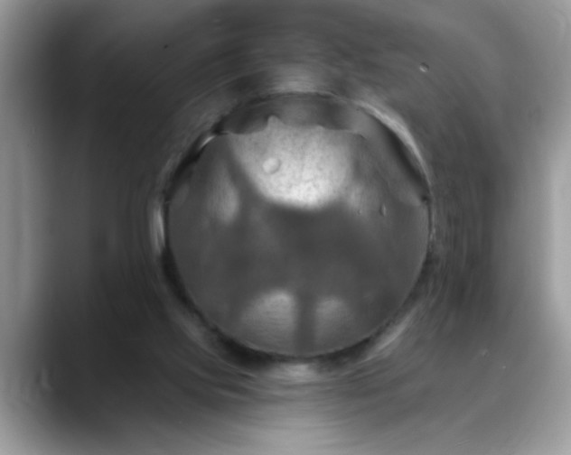 X0000088750061200706071728