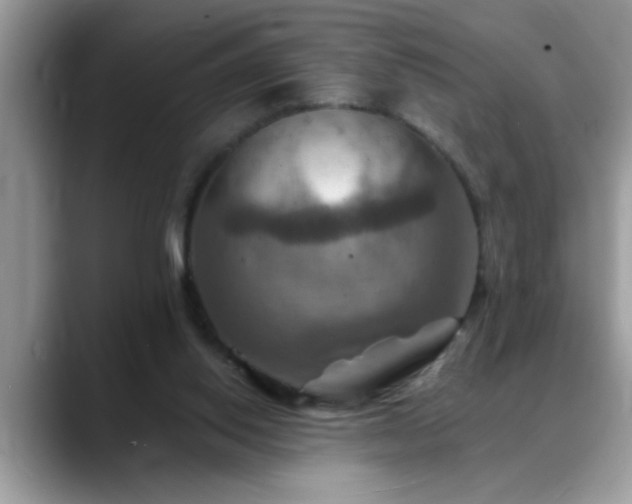 X0000088750062200706071728