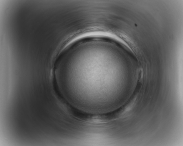X0000088750064200706071728