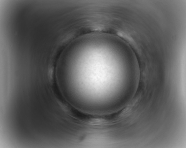X0000088750066200706071728
