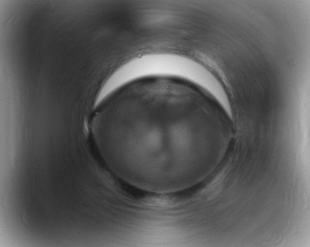 X0000088750069200706071729