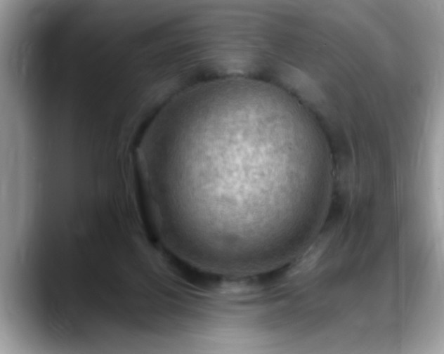 X0000088750070200706071729